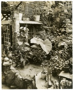 Piscina mostrando terraza Casa de George y Mary Stonehill, Greenwich Village, Nueva York, EE.UU., c.1936-37
