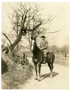 Roland Young, c.1905-27 de Jessie Tarbox Beals