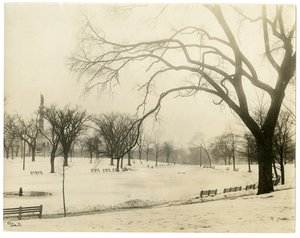 El Common, Boston, EE.UU., c.1902-10 de Jessie Tarbox Beals