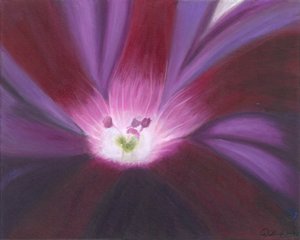 Brillo de flor púrpura de Jillian Claire
