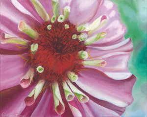 Una flor de zinnia de colores vivos de Jillian Claire