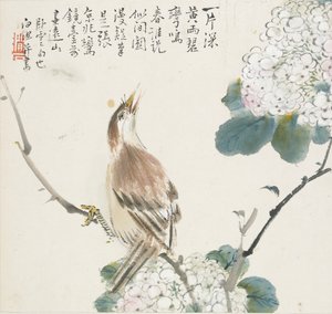 Un Hwamei Chino, 1857 de Jin Yuan