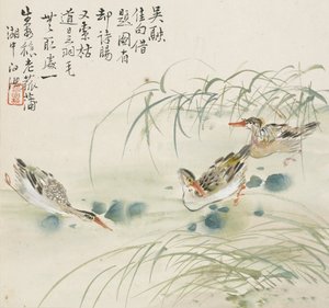 Tres patos nadando en una piscina de Jin Yuan
