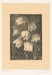 Flores de avefría de Jo van Oosten Slingeland (signed by artist)