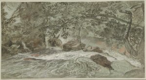 Rápidos con ramas colgantes de Joachim Franz Beich