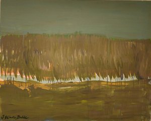 Extenso paisaje pantanoso de Joackim Schou Dahle
