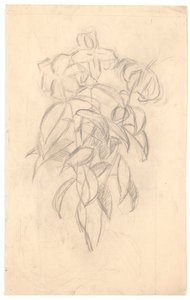 Estudio de flores de Joakim Frederik Skovgaard