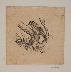 Un pájaro carpintero de Joakim Frederik Skovgaard