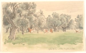Paisaje griego con olivos y ganado pastando de Joakim Frederik Skovgaard