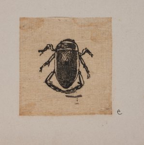 Insecto de Joakim Frederik Skovgaard