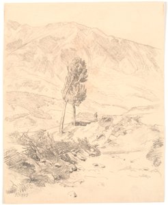 Paisaje montañoso italiano con dos árboles de Joakim Frederik Skovgaard