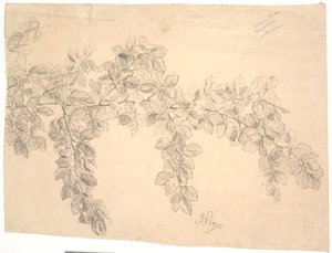 Estudio de una rama de haya de Joakim Frederik Skovgaard