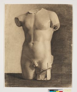 Dibujo después de yeso de torso juvenil antiguo