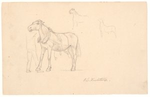 Tres estudios de un caballo de Joakim Frederik Skovgaard