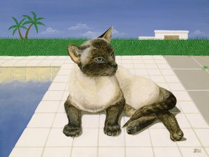 Gato siamés junto a una piscina de Joan Freestone