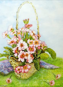 Primaveras rosas en una cesta de florista con un pañuelo de cachemira