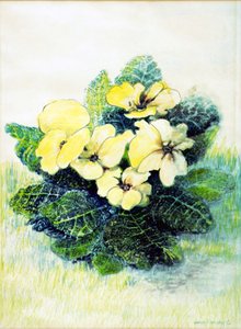 Primavera amarillo pálido, 2005 de Joan Thewsey