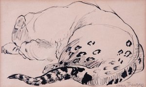 Boceto, leopardo, zoológico de Londres 2005 de Joan Thewsey
