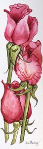 Tres rosas rojas