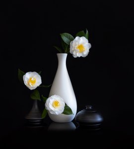 Naturaleza muerta con camelias blancas de Joanna W