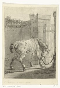 Un caballo atado a un poste de Joannes Bemme