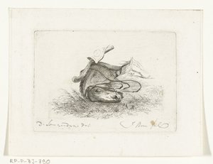 Cabeza de caballo de caballo mentiroso Cabezas de caballo después de Dirk Langendijk (título de la serie)