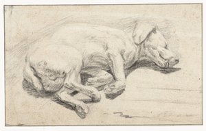 Perro reclinado, durmiendo de Joannes Fijt (attributed to)