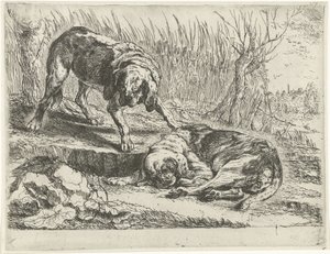 Dos perros Perros (título de la serie) de Joannes Fijt