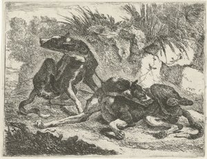 Dos perros Perros (título de la serie) de Joannes Fijt