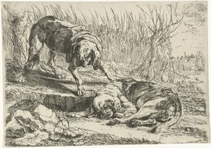 Dos perros
Perros (título de la serie) de Joannes Fijt