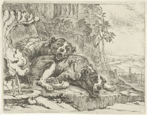 Dos perros mentirosos Perros (título de la serie) de Joannes Fijt