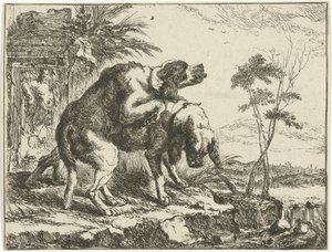 Dos perros de apareamiento Perros (título de la serie)