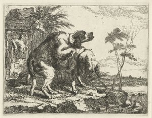 Dos perros de apareamiento Perros (título de la serie) de Joannes Fijt