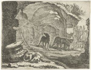Cuatro perros en una ruina Perros (título de la serie) de Joannes Fijt