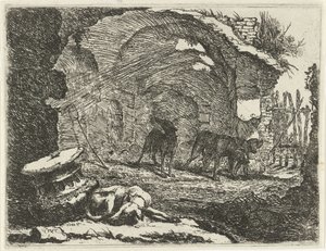 Cuatro perros en una ruina
Perros (título de la serie) de Joannes Fijt