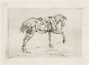 caballo ensillado de Joannes Pieter Visser Bender