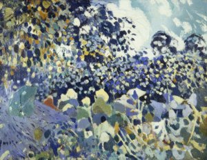 Flores de Joaquim Mir i Trinxet