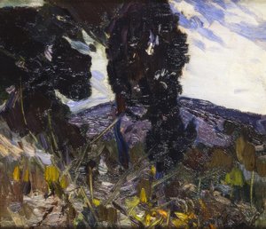 Paisaje de Joaquim Mir i Trinxet