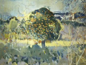 Paisaje