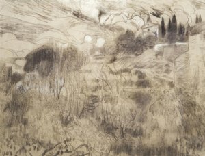 Maspujols de Joaquim Mir i Trinxet
