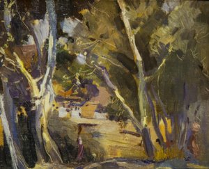Miravet de Joaquim Mir i Trinxet