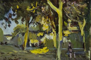 Plaza con árboles de Joaquim Mir i Trinxet