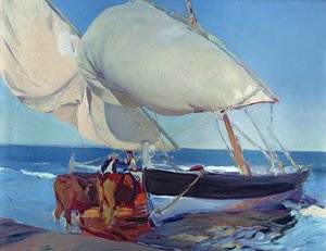 Barcos de vela