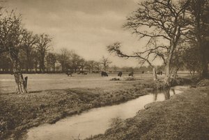 Donde el arroyo Beverley serpentea a través del Parque de Caza Real de Richmond, c1935 de Joel