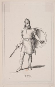 "TYR." de Johan Aagaard