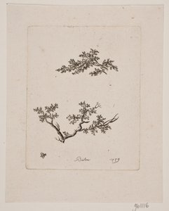 Dos ramas de árbol de Johan Bülow