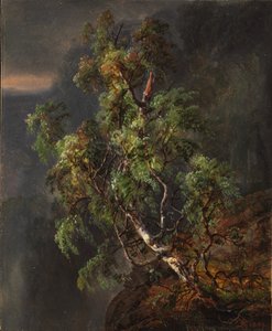 Abedul en tormenta de Johan Christian Dahl