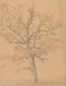 Roble con hojas otoñales, Milicz de Johan Christian Dahl