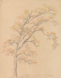 Robles con hojas de otoño, Milicz de Johan Christian Dahl
