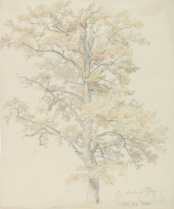 Robles con hojas de otoño, Milicz de Johan Christian Dahl